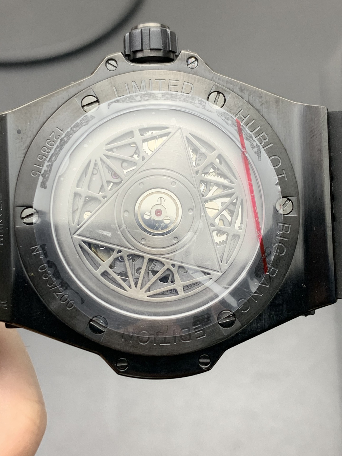 Hublot WWF 钛黑刺青