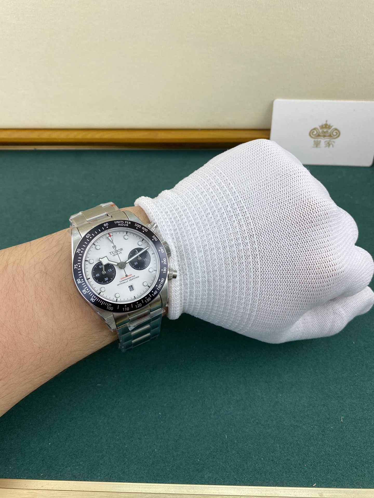 Tudor 皇家 帝舵碧湾系列熊猫盘