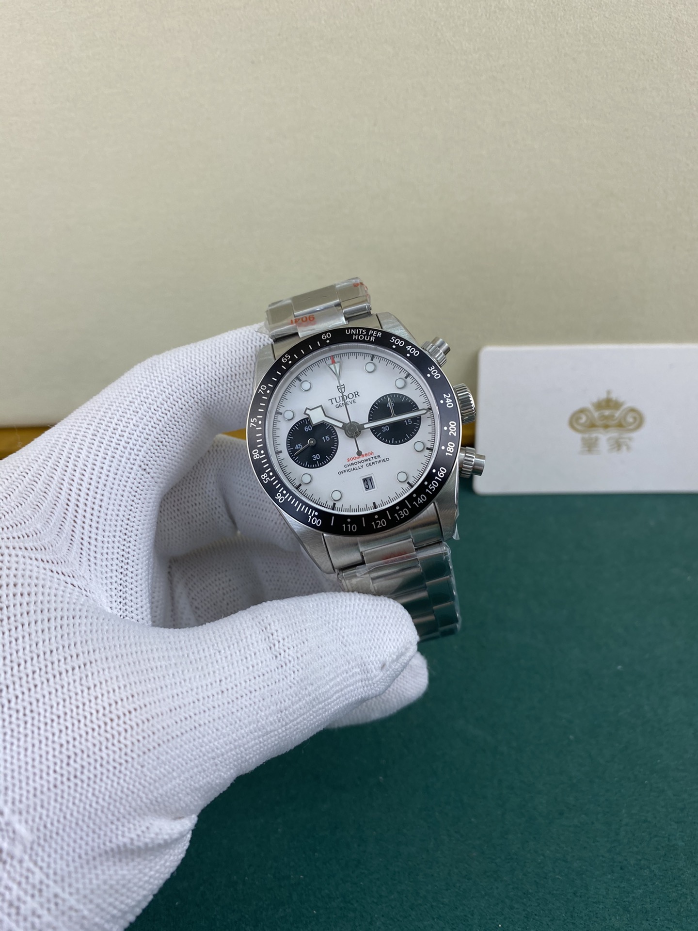 Tudor 皇家 帝舵碧湾系列熊猫盘