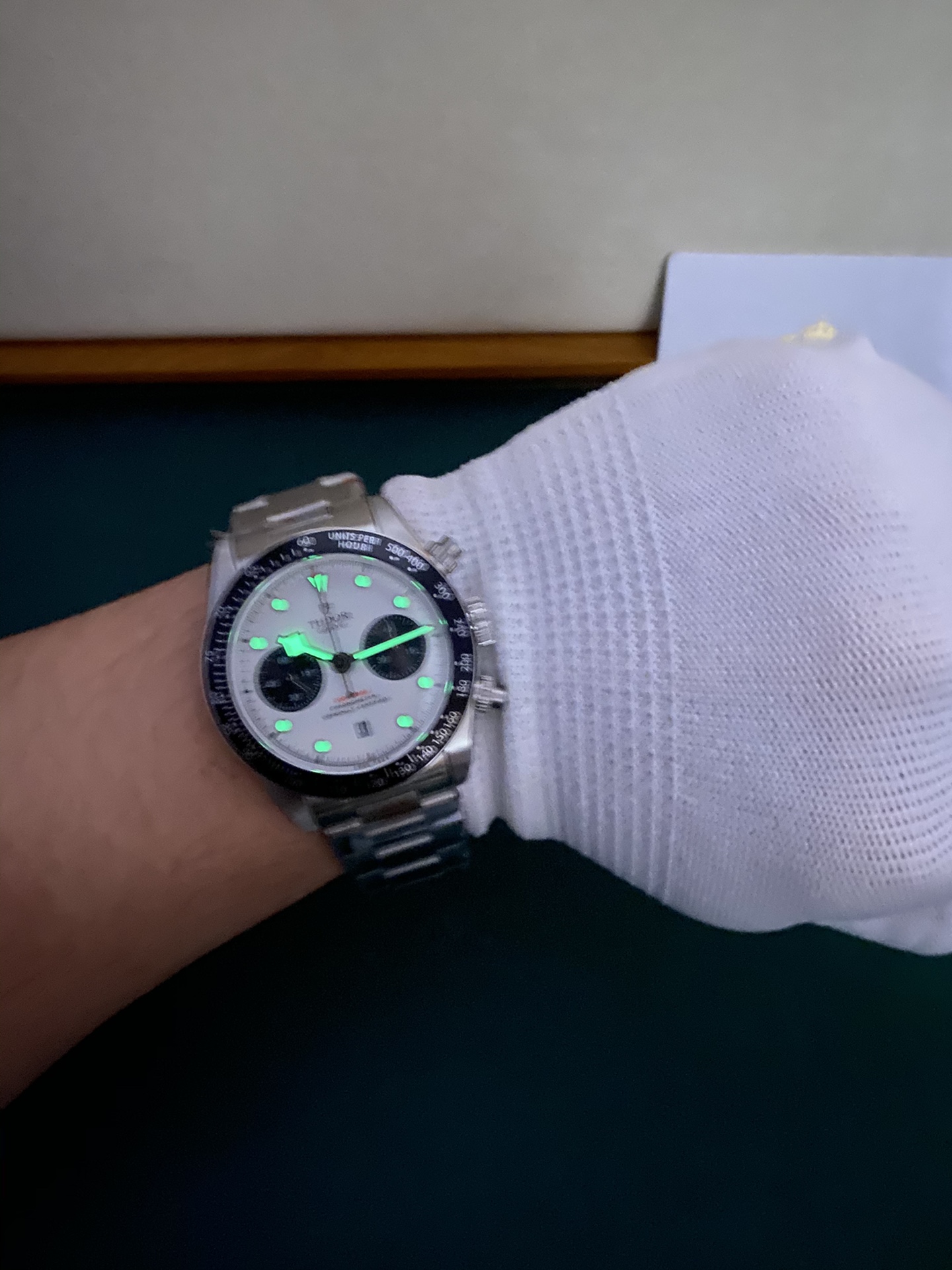Tudor 皇家 帝舵碧湾系列熊猫盘