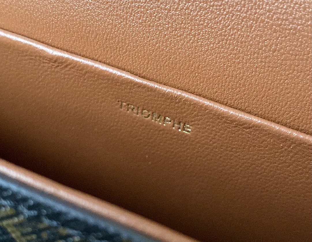 CELINE 秀场新品 最新经典款链条腋下包 197992老花