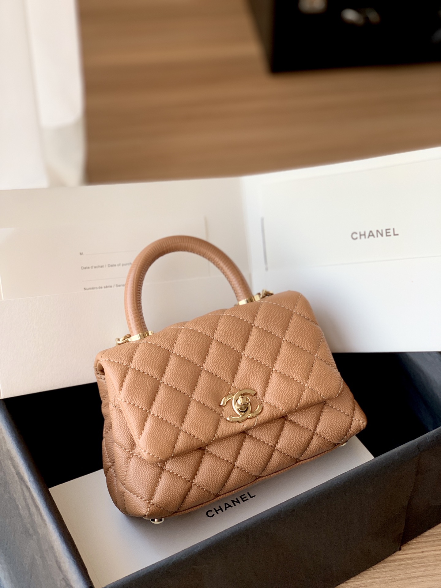 CHANEL Coco 19cm Handle nouvelle collection, texture lézard embossée + poignée en veau, fermoir doré clair brillant