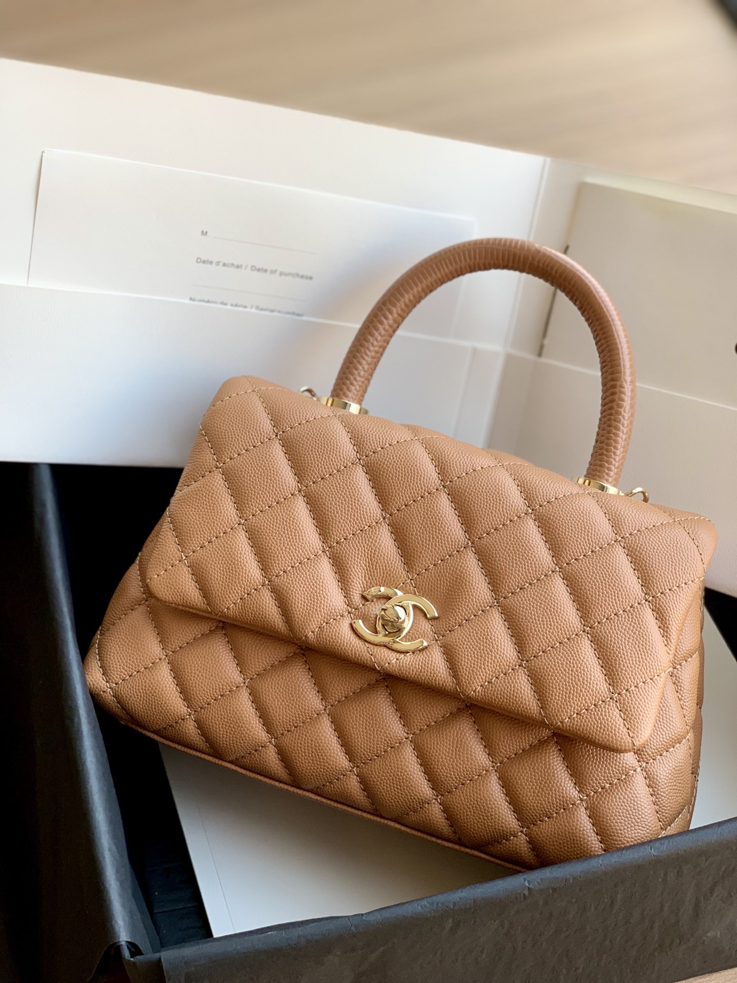CHANEL Coco 24cm Handle 신상품 도마뱀 가죽 텍스처 엠보싱 + 송아지 가죽 핸들 라이트 샤이니 골드 버클