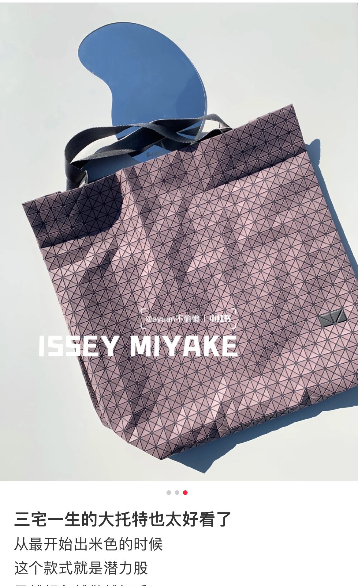 Issey Miyake Tote Bag - Comprehensive 5