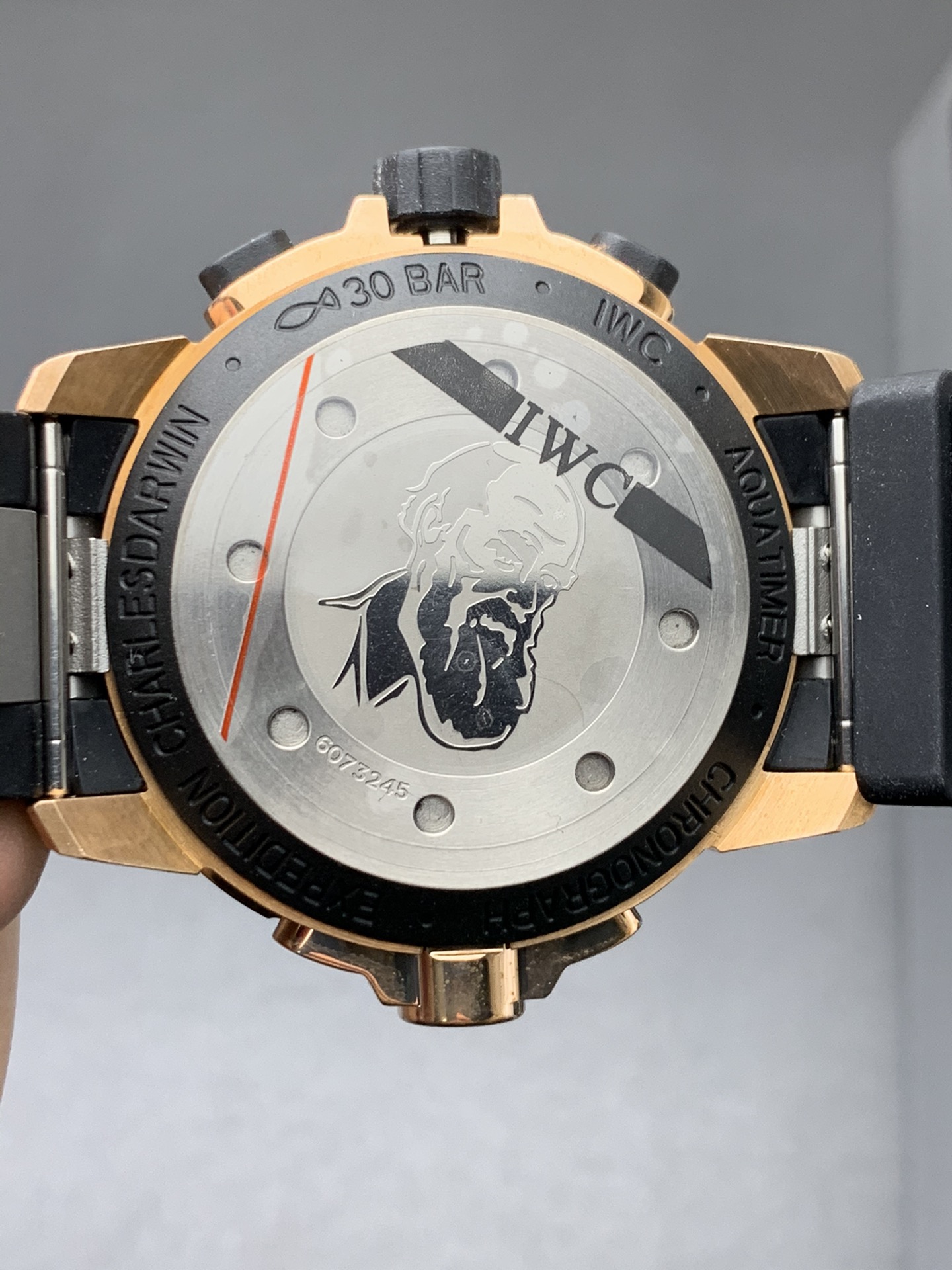 IWC 青铜达文西计时
