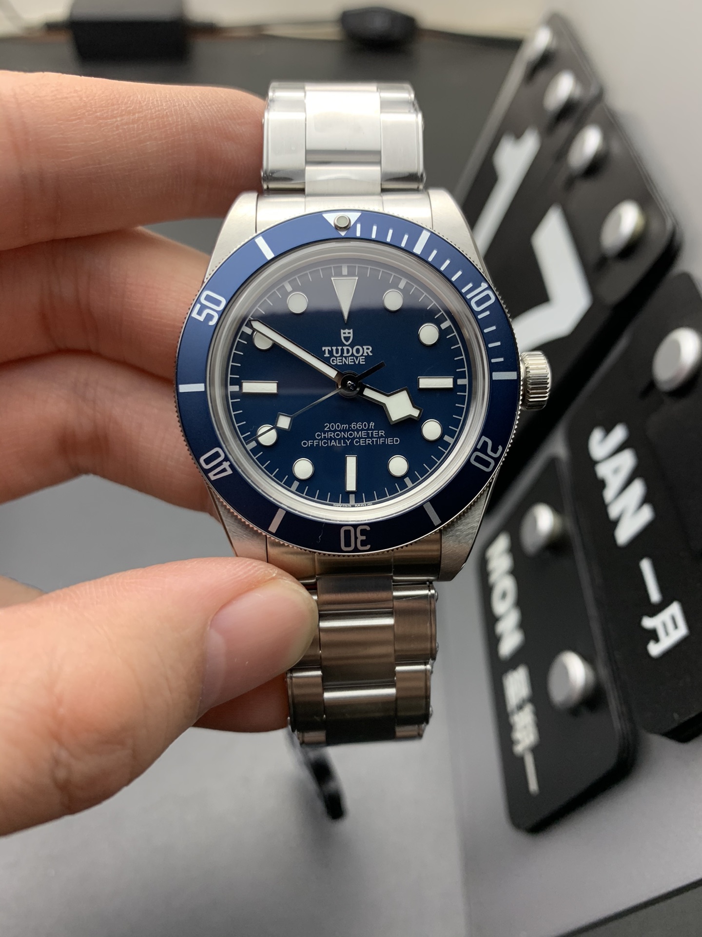 Tudor 帝驼小蓝花