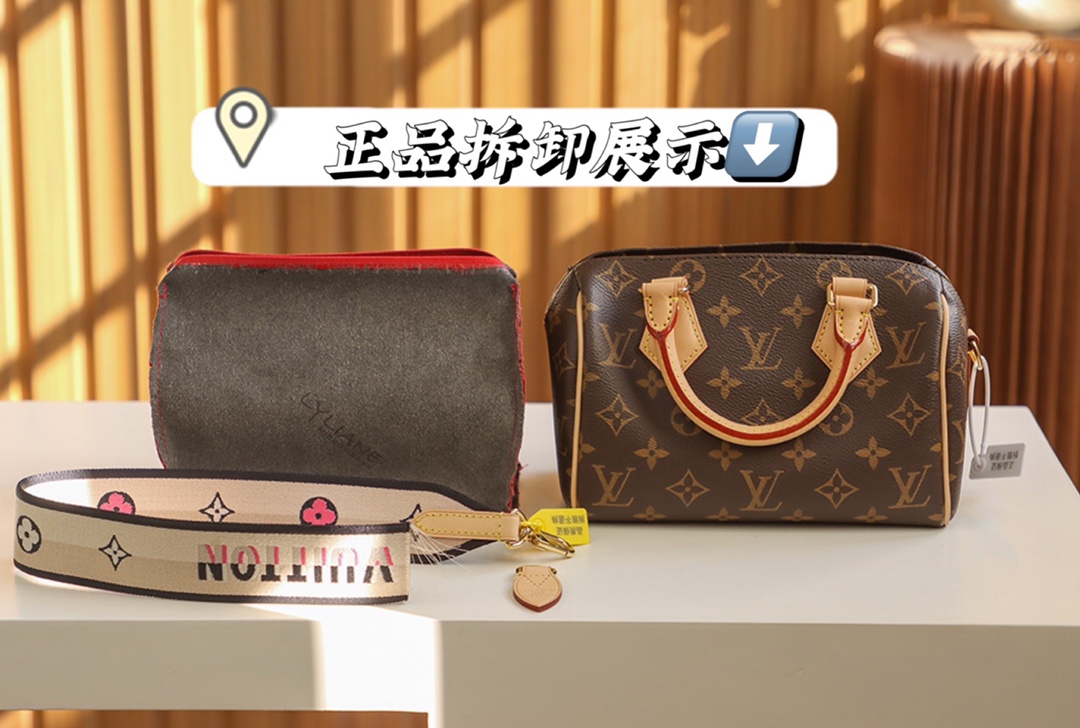 Louis Vuitton Speedy 20 Handbag – Iconic Monogram Canvas Shoulder Bag