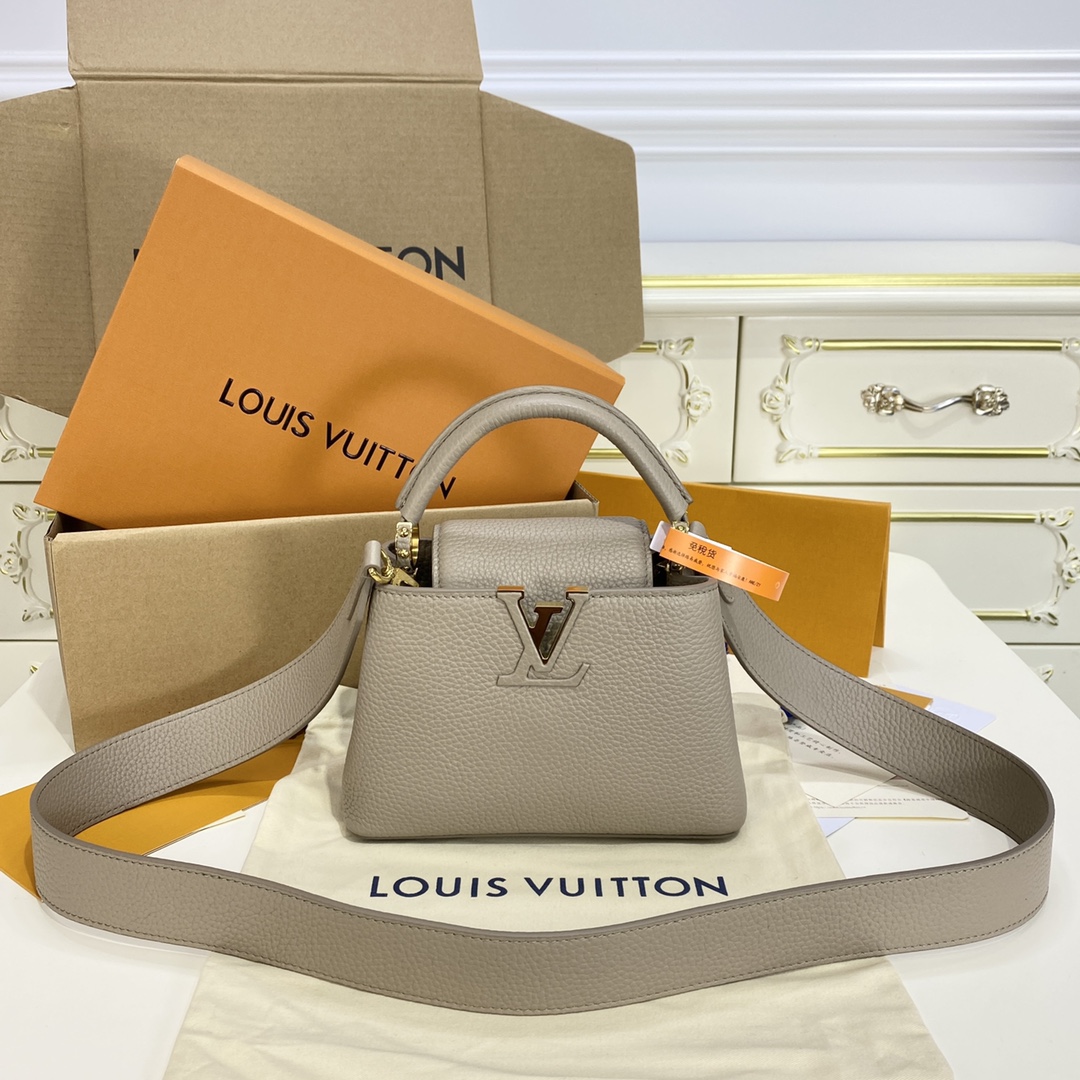 Louis Vuitton LV Capucines Bags Handbags Gold Hardware Taurillon Mini