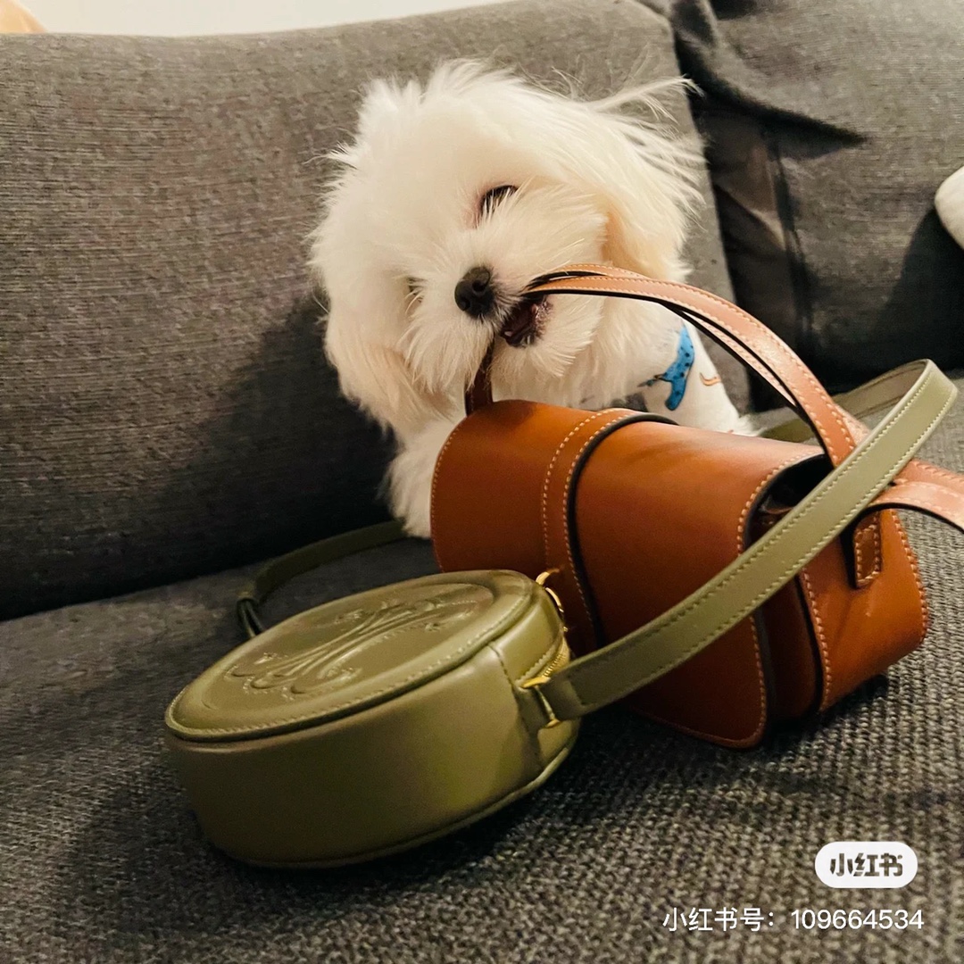 CELINE 光滑牛皮革斜挎椭圆形猪鼻子包 198603橄榄绿