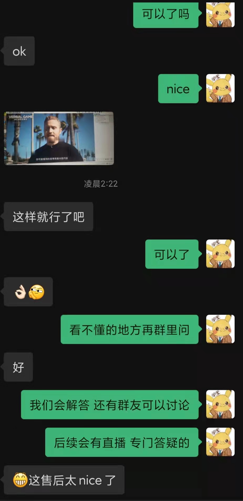 RSD托德 言语游戏皮卡团人工翻译版 原价3999