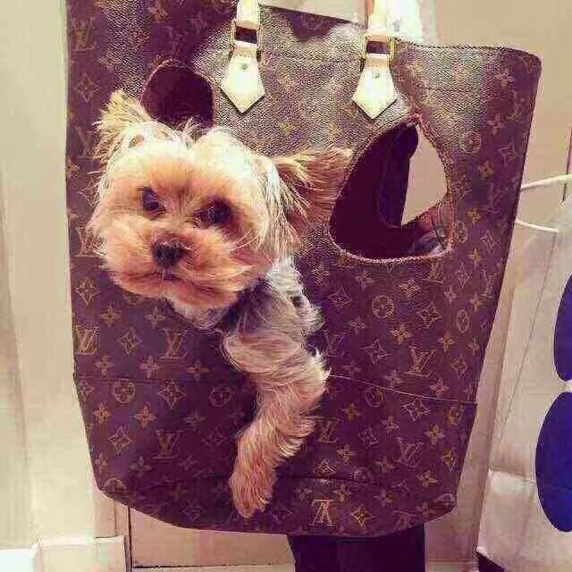 NO:398372,40011 upper body picture, LV [original skin], louis vuitton1986090940011上身图,LV【原厂皮】,louis vuitton,Bag