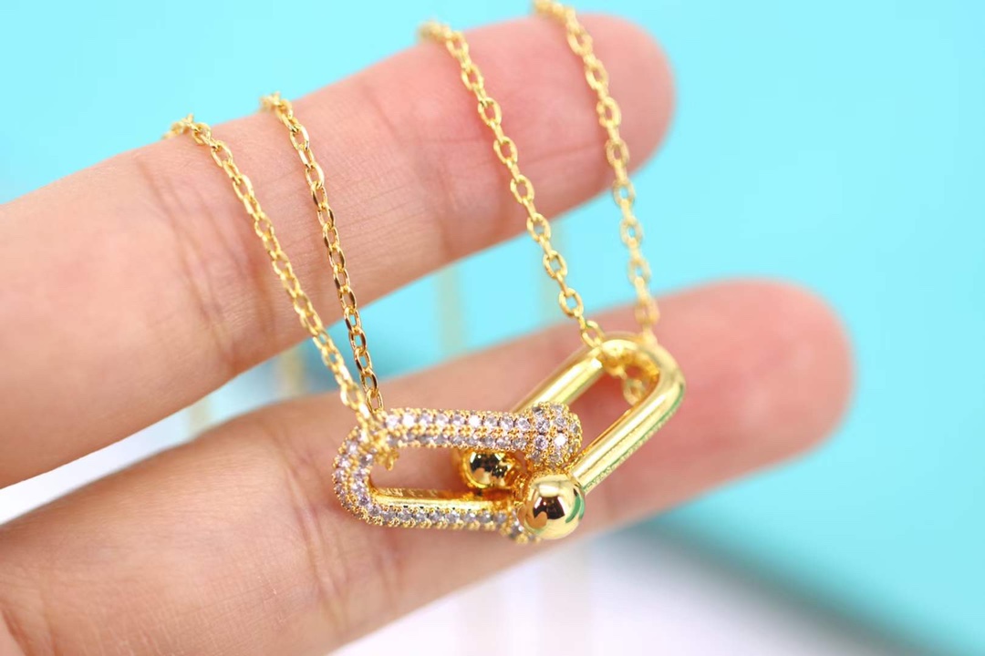 Tiffany & Co. Tiffany&co.hardwear系列u形双链环项链
