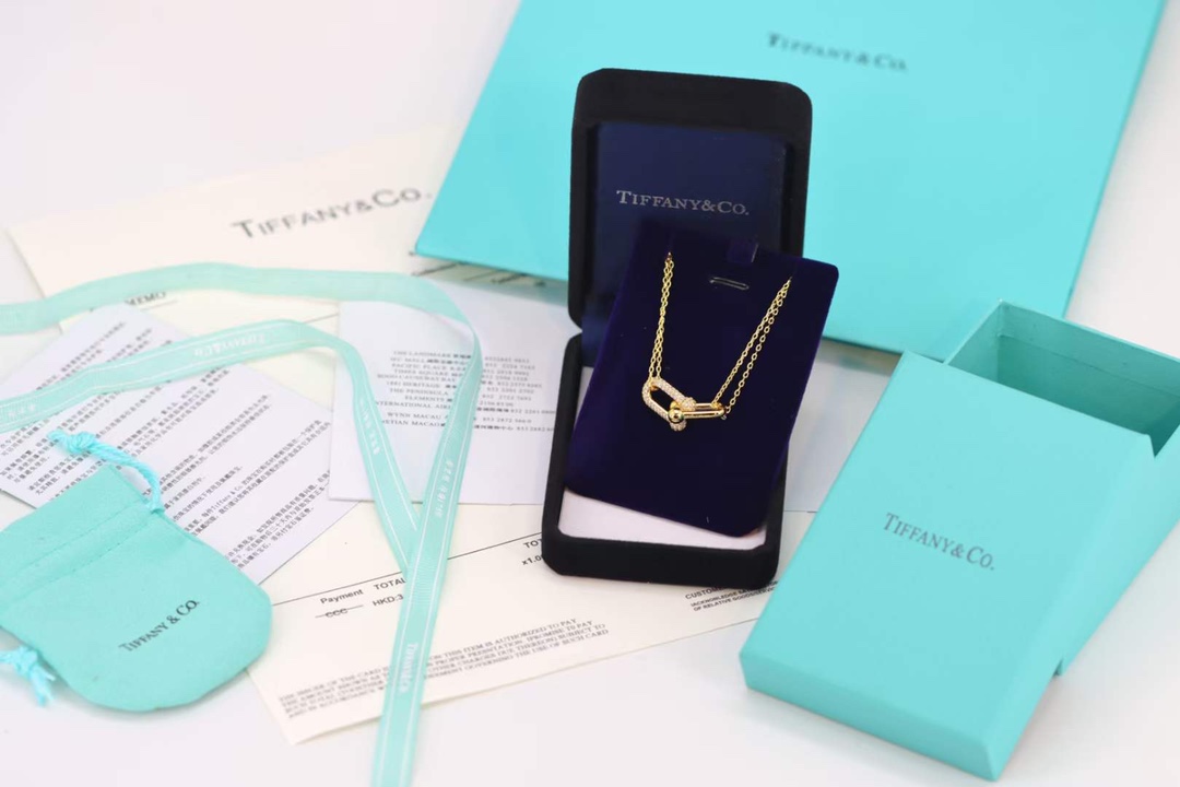Tiffany & Co. Tiffany&co.hardwear系列u形双链环项链