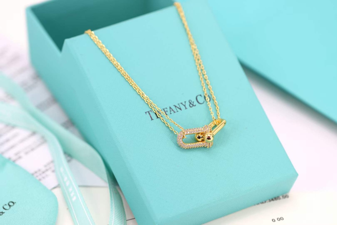 Tiffany & Co. Tiffany&co.hardwear系列u形双链环项链