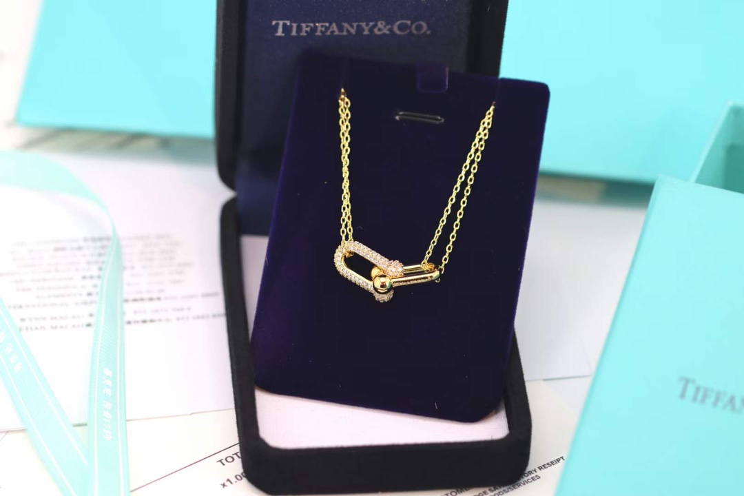 Tiffany & Co. Tiffany&co.hardwear系列u形双链环项链