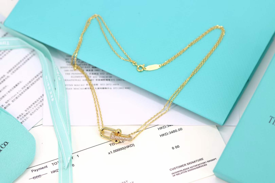 Tiffany & Co. Tiffany&co.hardwear系列u形双链环项链