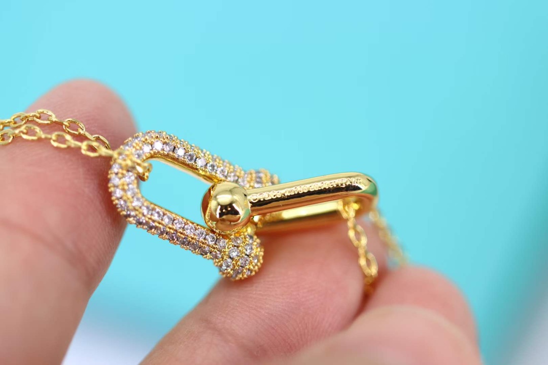 Tiffany & Co. Tiffany&co.hardwear系列u形双链环项链