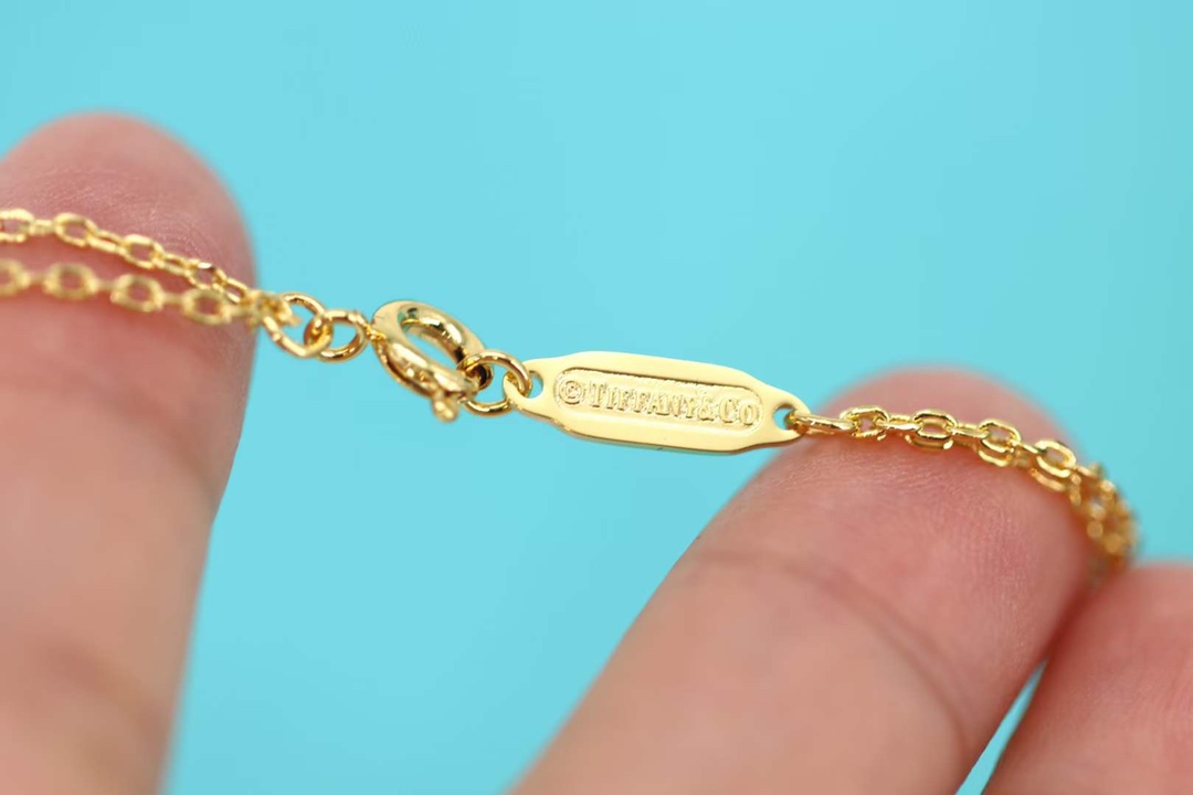 Tiffany & Co. Tiffany&co.hardwear系列u形双链环项链