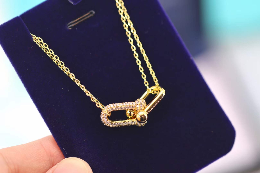 Tiffany & Co. Tiffany&co.hardwear系列u形双链环项链