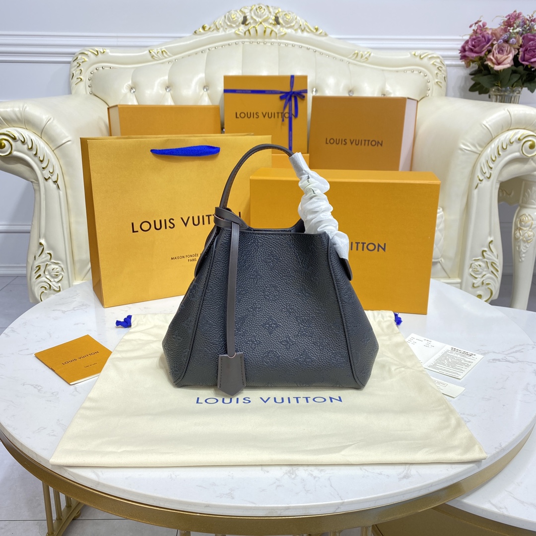 루이비통(버드케이지) M54351 가방 Louis Vuitton Bag