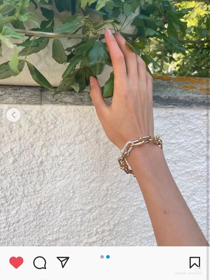 Tiffany & Co. Tiffany&co.hardwear系列u形双链环竹节手链