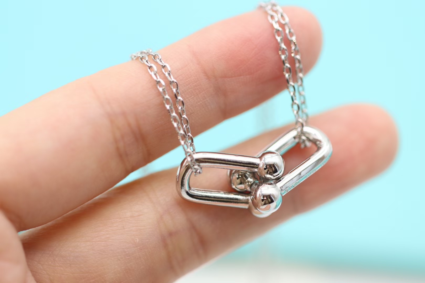 Tiffany & Co. Tiffany&co.hardwear系列u形双链环项链