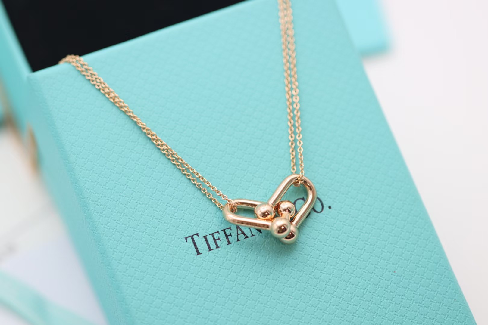 Tiffany & Co. Tiffany&co.hardwear系列u形双链环项链