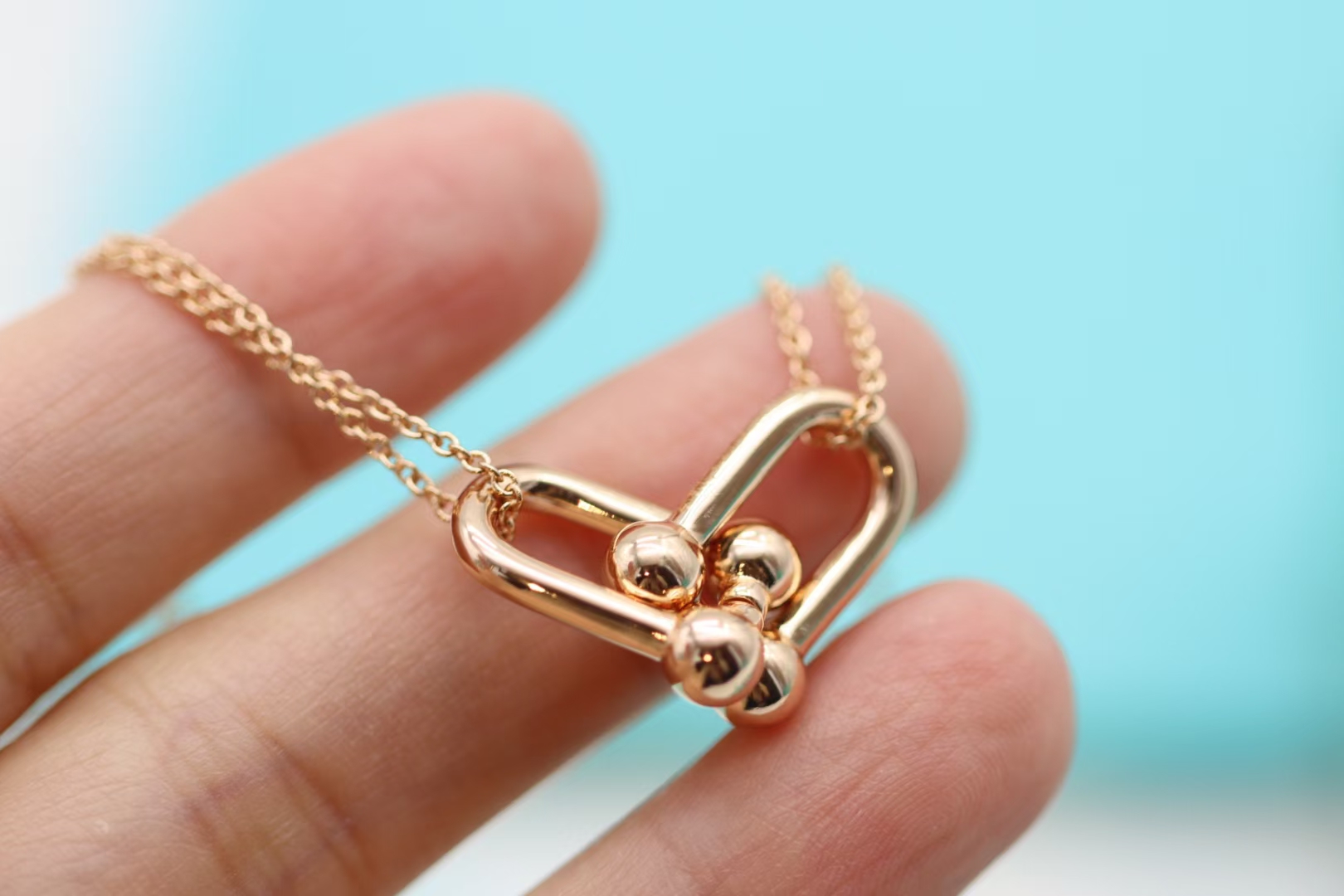 Tiffany & Co. Tiffany&co.hardwear系列u形双链环项链