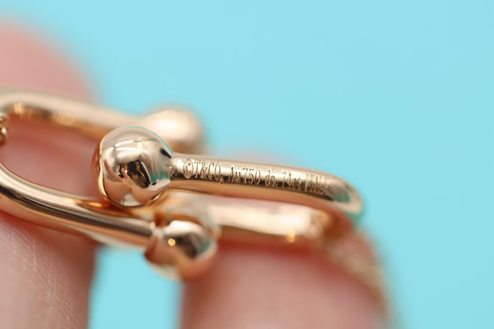 Tiffany & Co. Tiffany&co.hardwear系列u形双链环项链