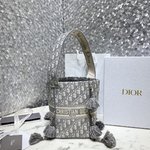 Dior Bucket Bags Printing Oblique