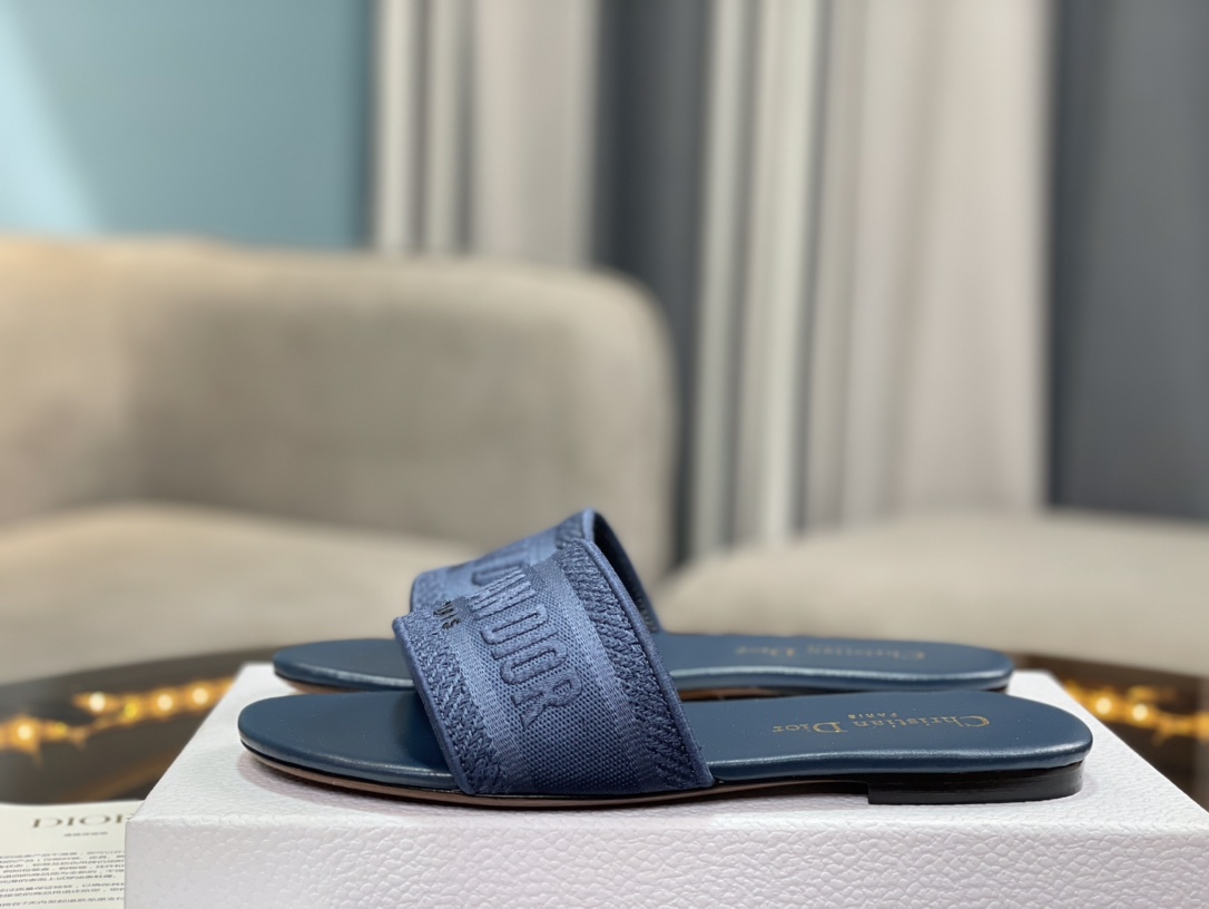 Dior Slides