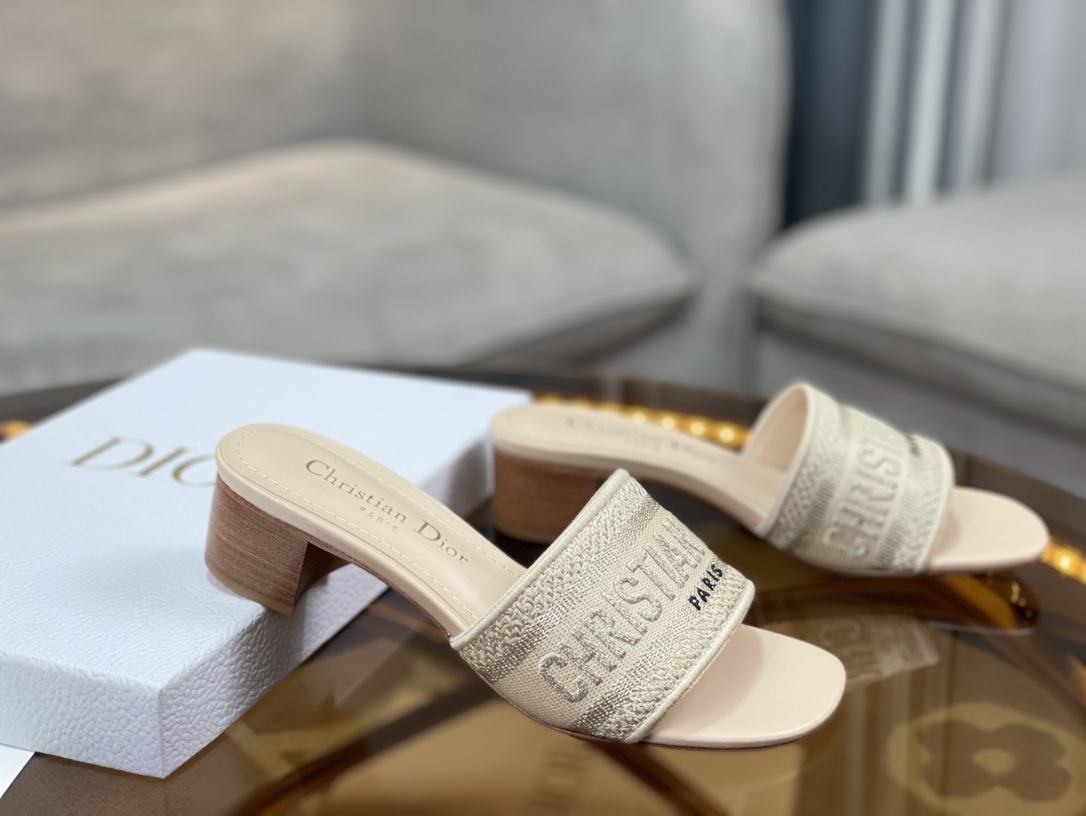 Dior Slides