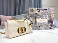 Dior Caro Bags Handbags Buy best quality Replica
 Gold White Embroidery Vintage Cowhide