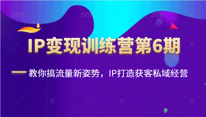 【网赚上新】《IP变现训练营第6期：教你搞流量新姿