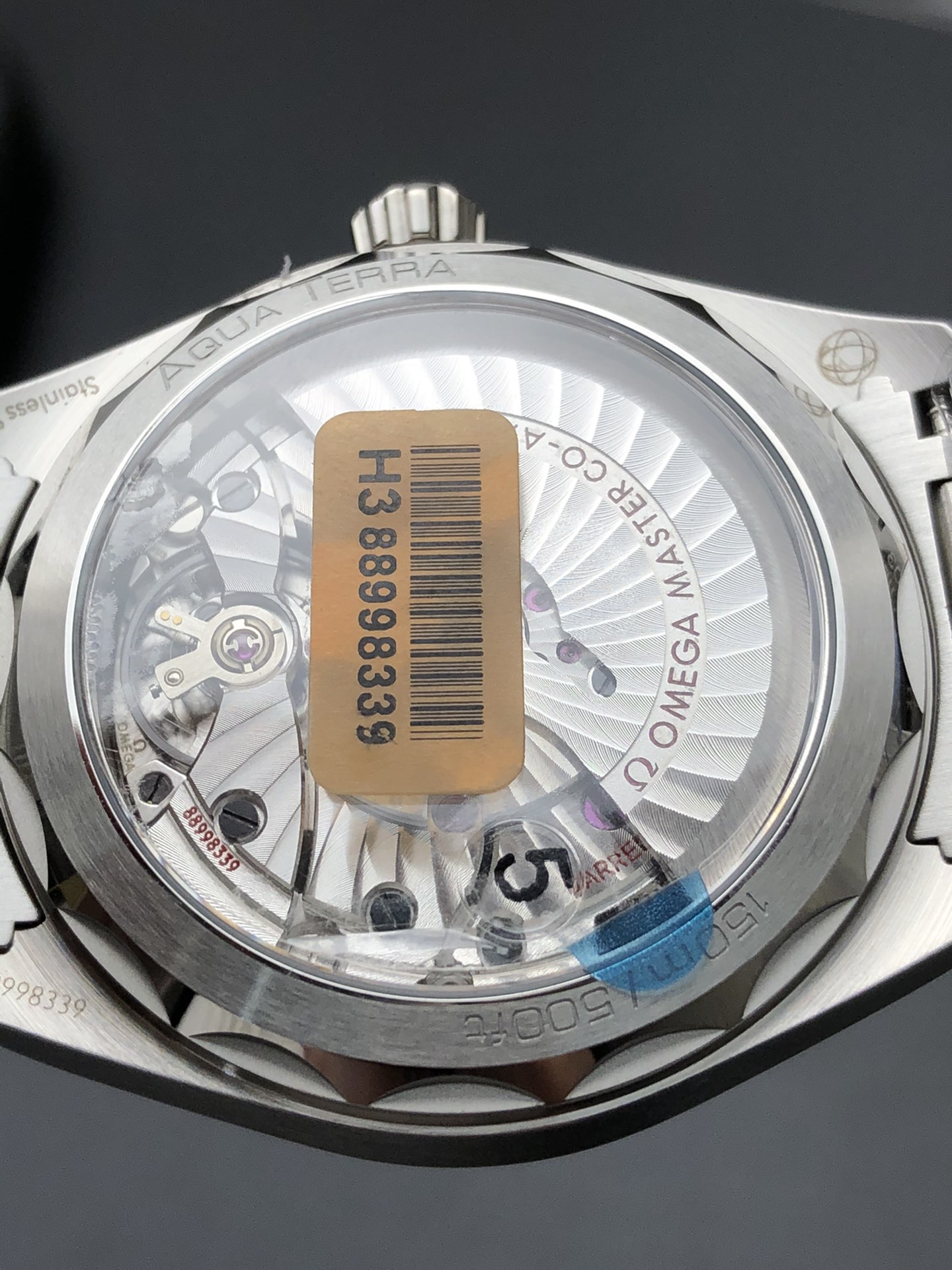 Omega 柚木海马