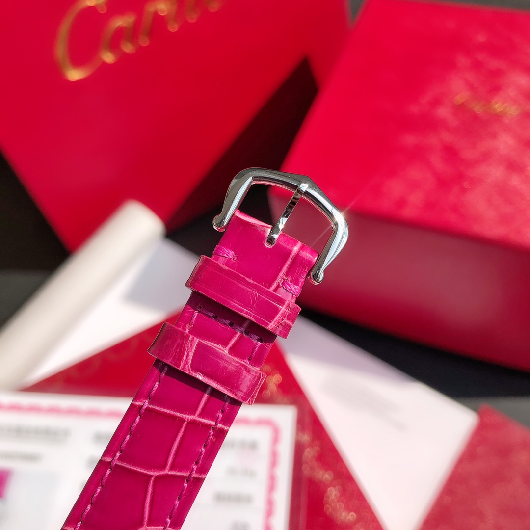 Cartier 龟形系列 腕表包,手表,cartier 9
