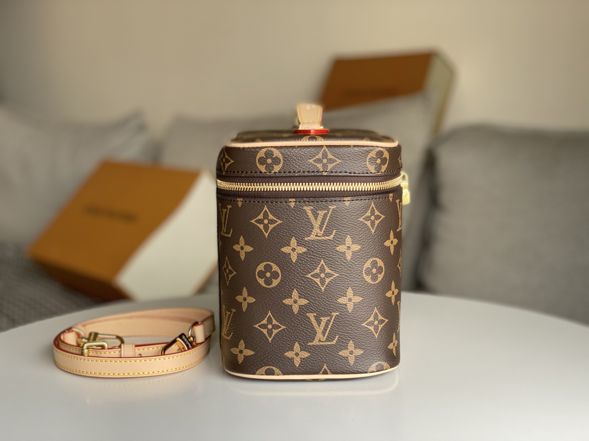 Louis Vuitton Nice BB Monogram Canvas Vanity Case, 24 x 18 x 14.5 cm 4 a1646584792001 6127