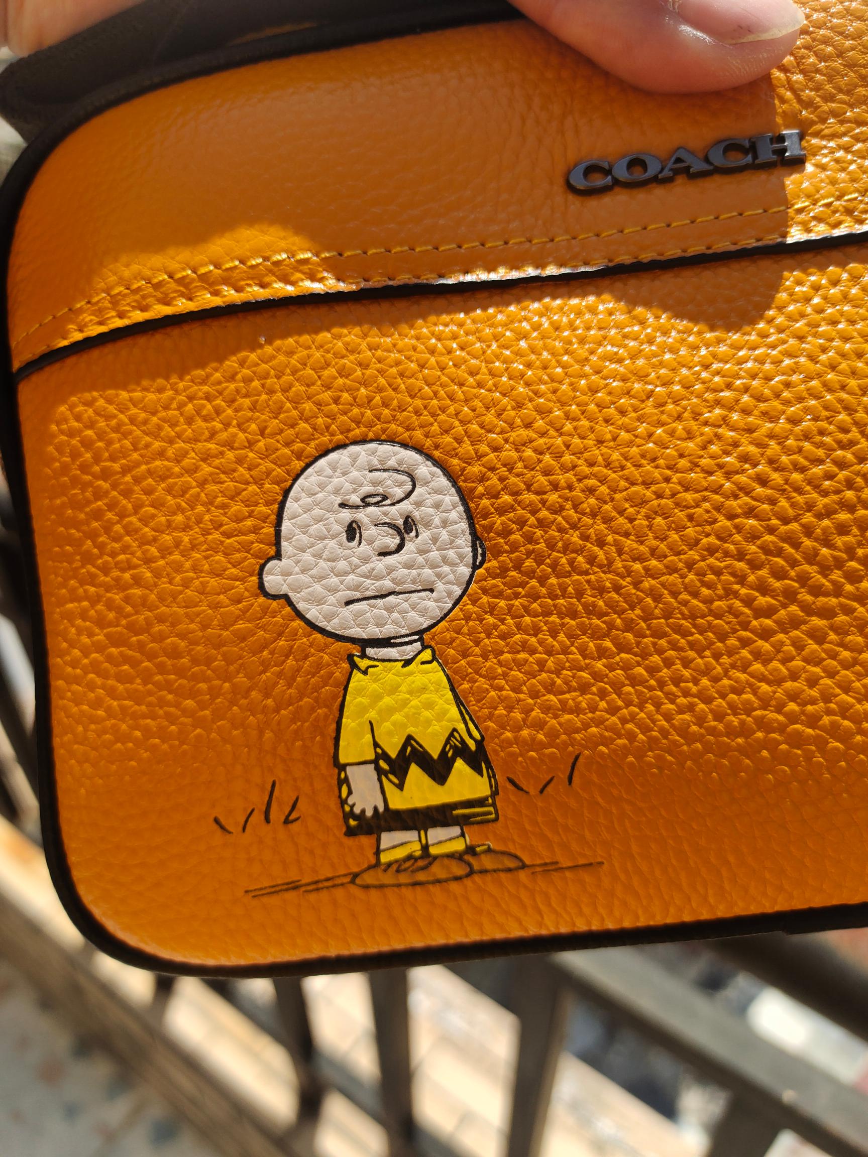 Coach COACH/蔻驰奥莱男士 标志PEANUTS GRAHAM斜挎包c4026