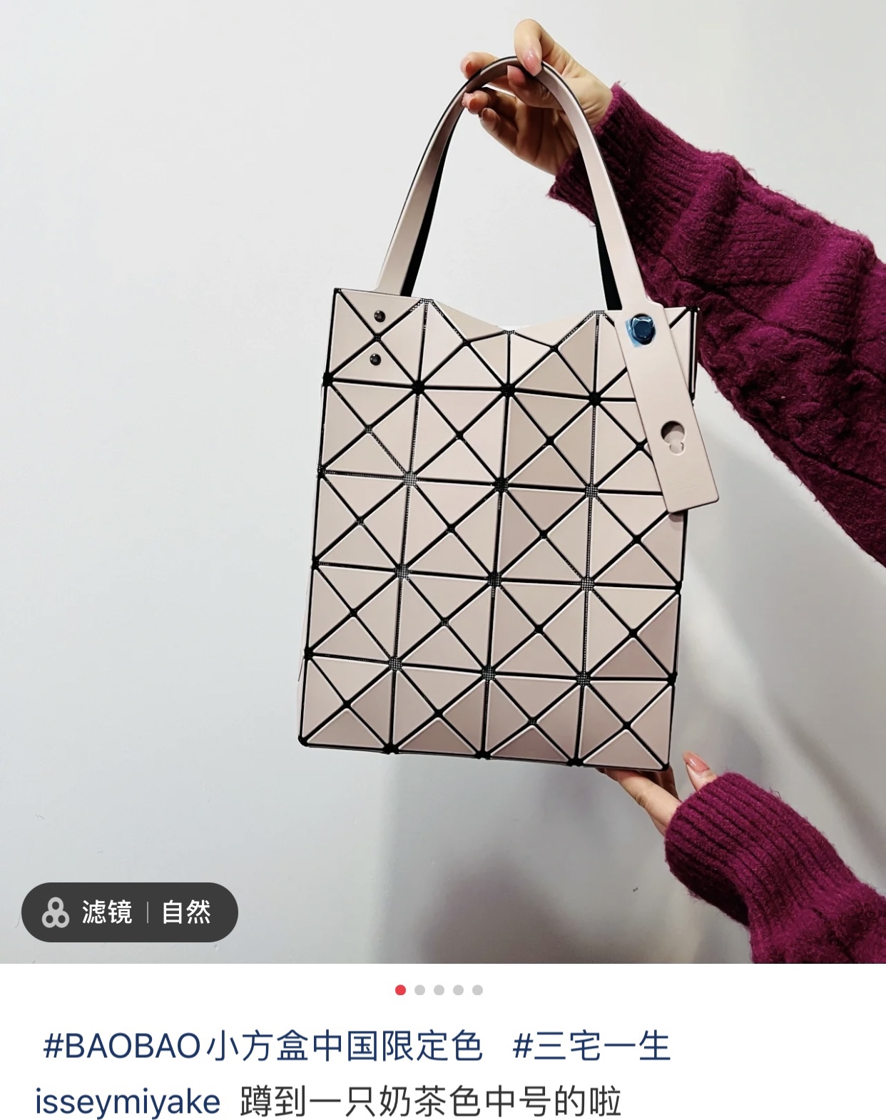 ISSEYMIYAKE三宅一生LUCENT BOXY 系列手提袋BB21-AG852