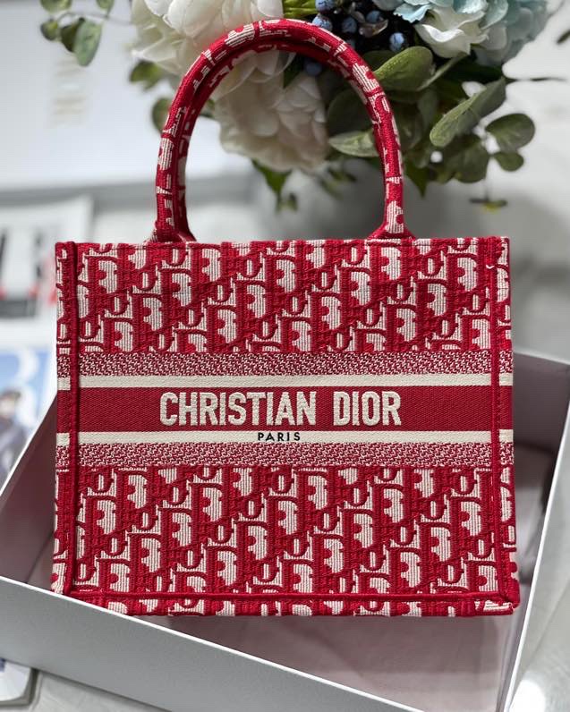 Dior Book Tote Small Embroidered Canvas Handbag