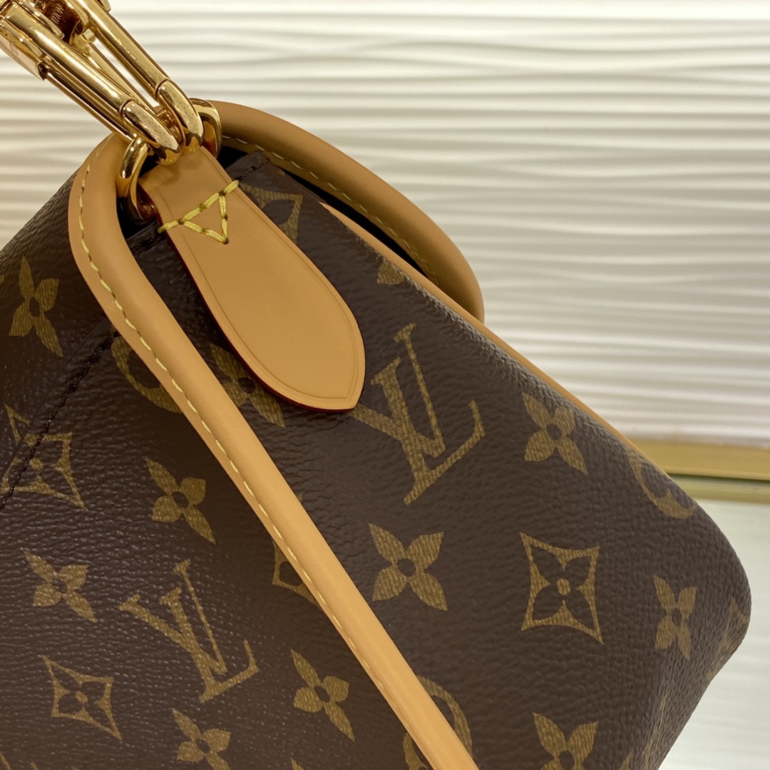 Louis Vuitton M45985 Monogram everyday