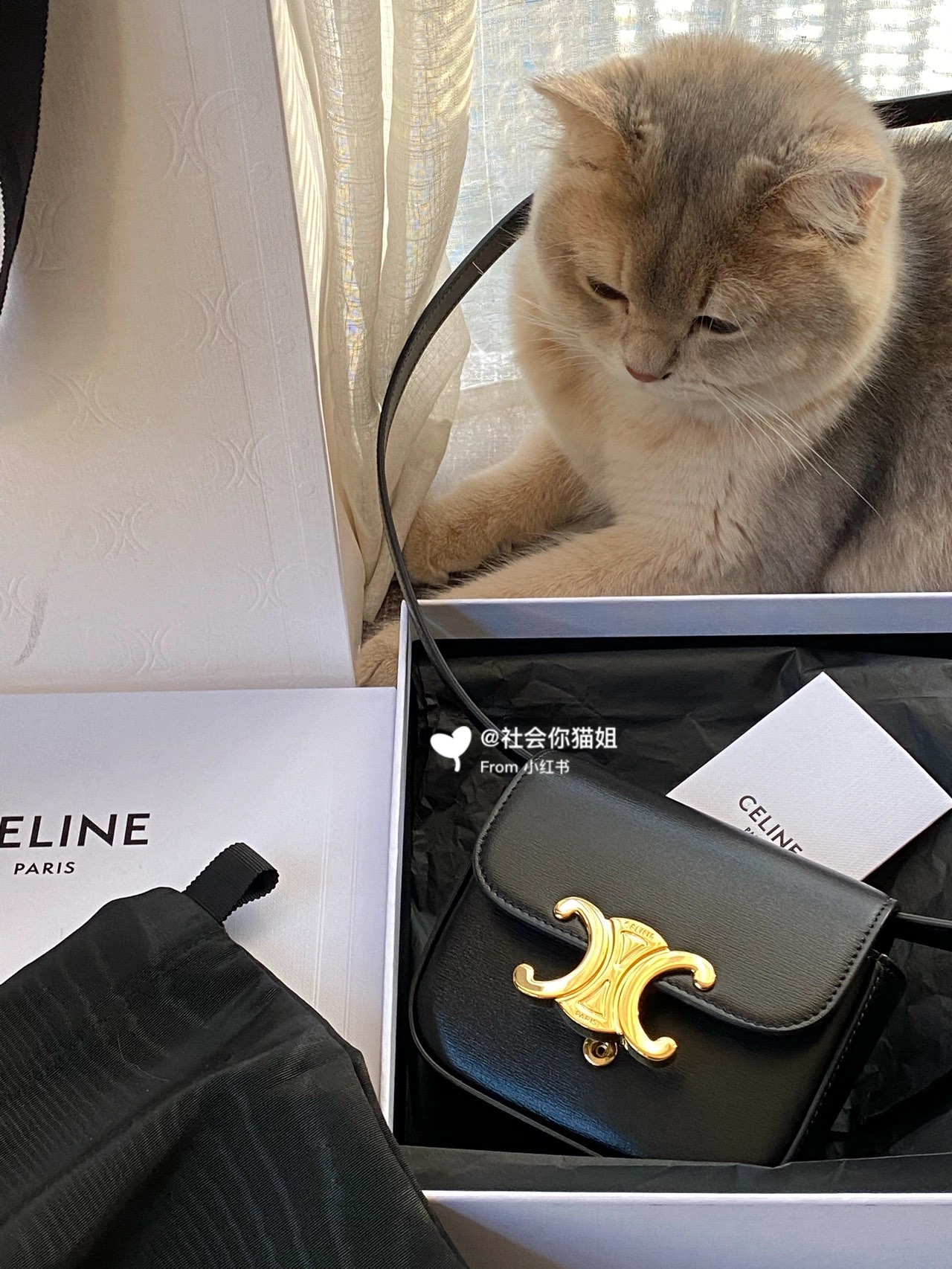 CELINE MINI TRIOMPHE 11CM BAG 10I513黑色
