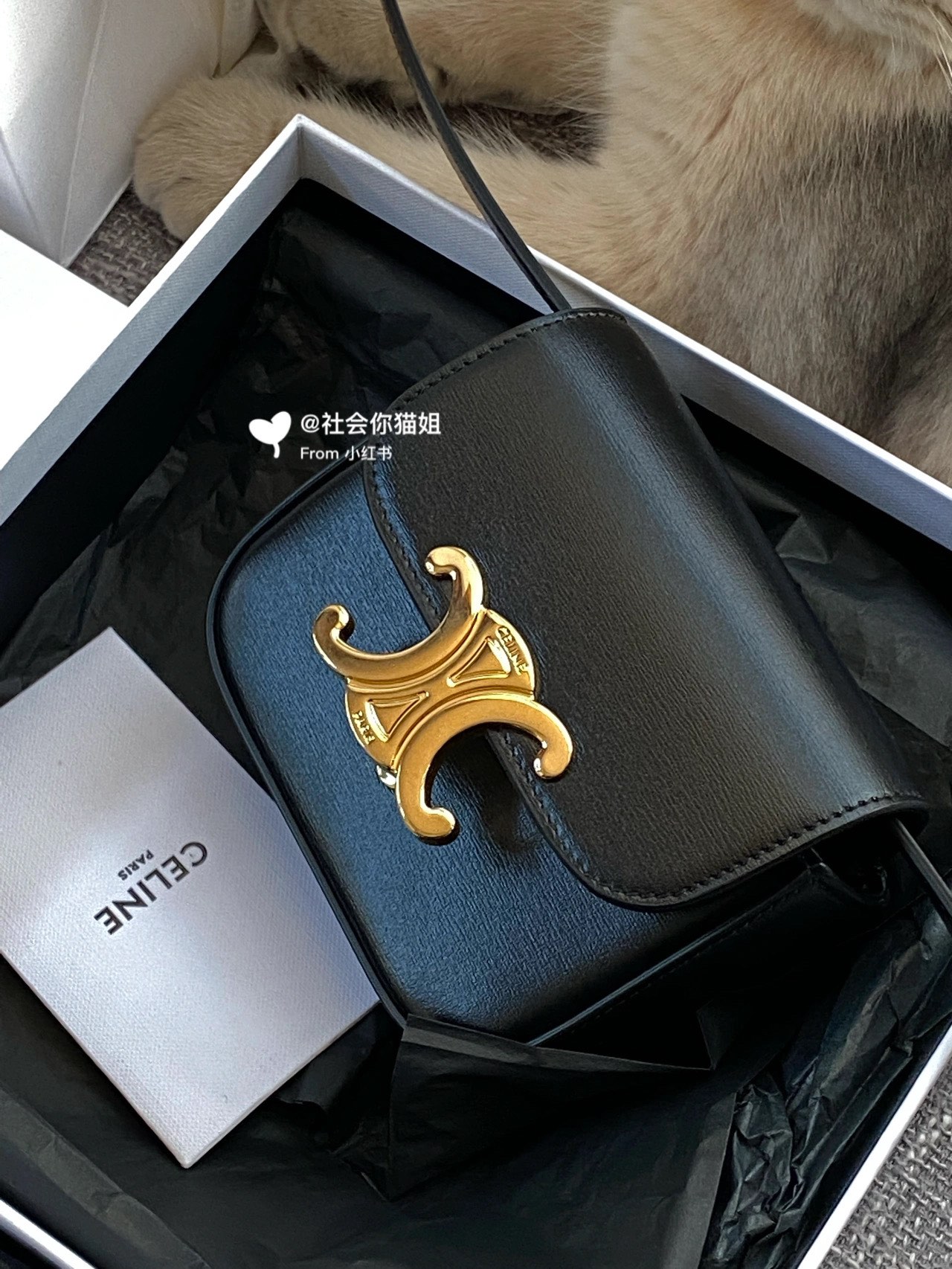 CELINE MINI TRIOMPHE 11CM BAG 10I513黑色