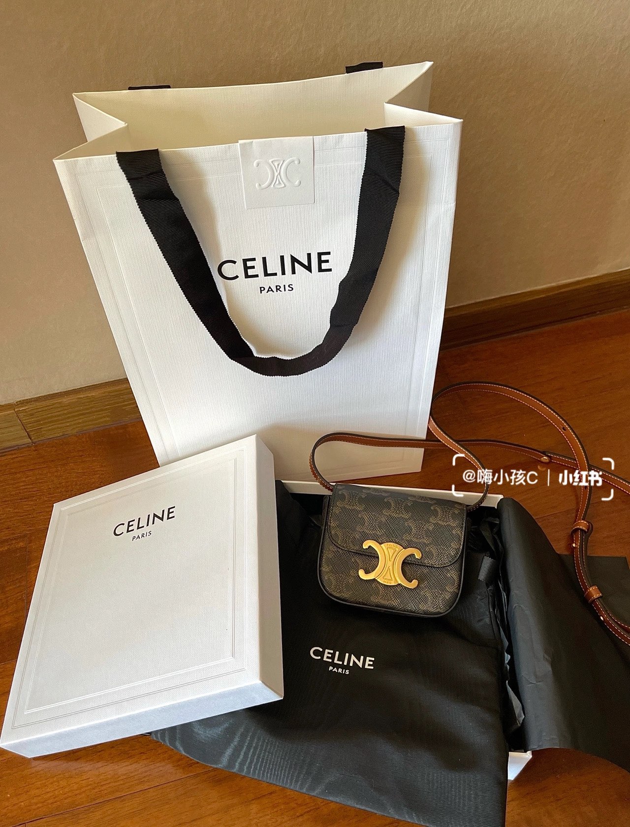CELINE MINI TRIOMPHE 11CM BAG 10I513老花