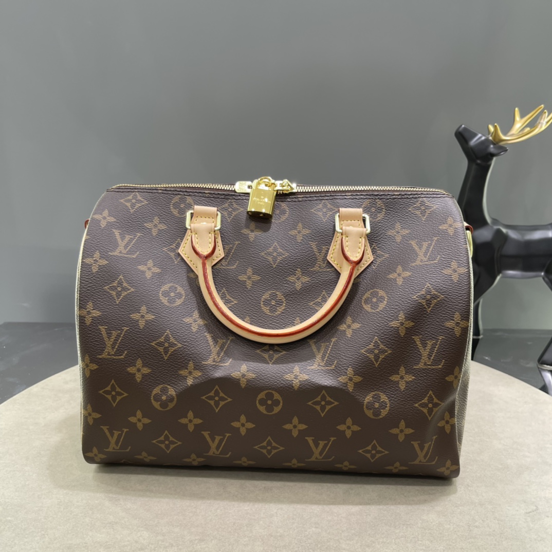 Louis Vuitton LV Speedy Bags Handbags Damier Ebene Canvas m41112