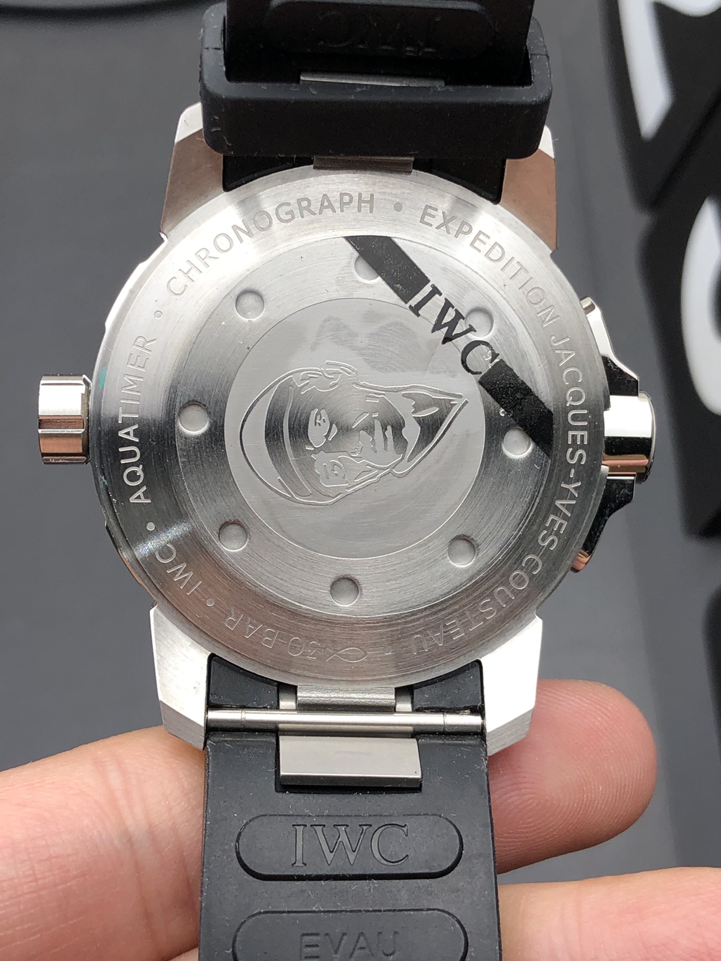 IWC V6F 万国海洋