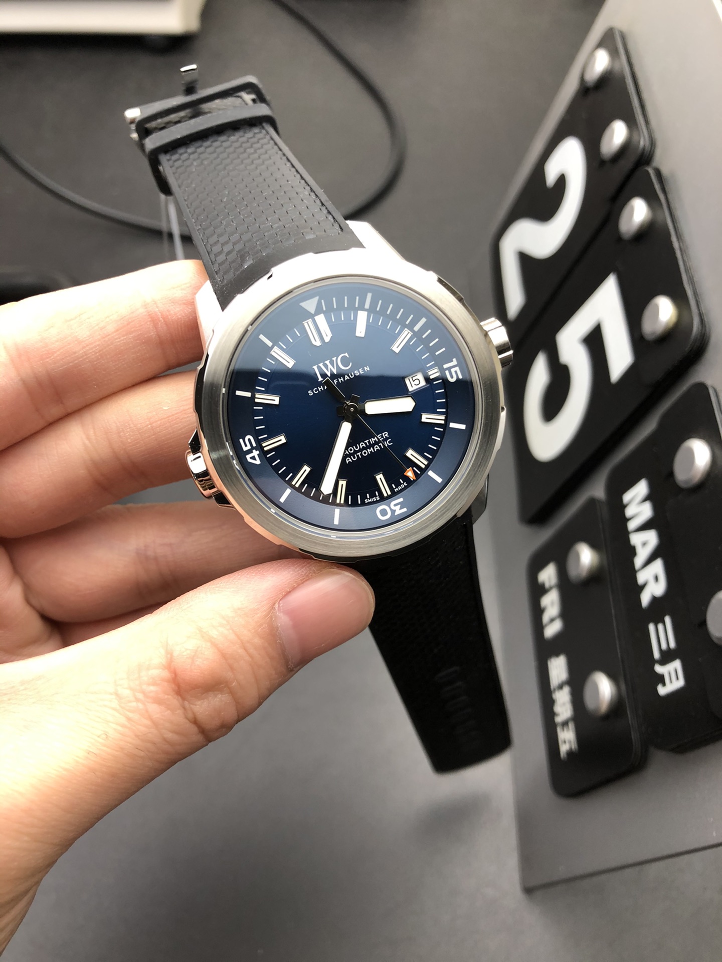 IWC V6F 万国海洋