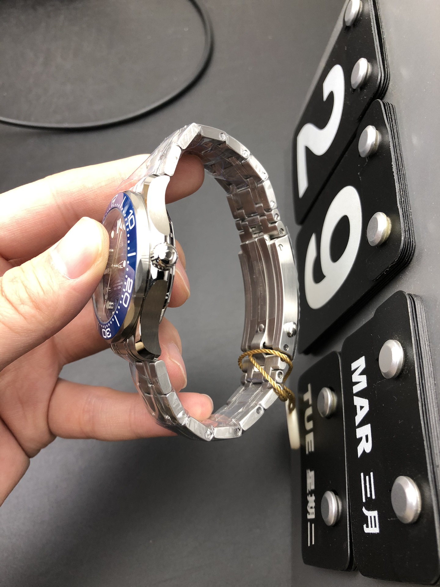 Omega OR 蓝海马300