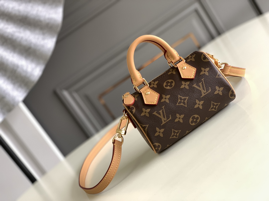 Louis Vuitton LV Speedy Bags Handbags Monogram Canvas Mini M81085