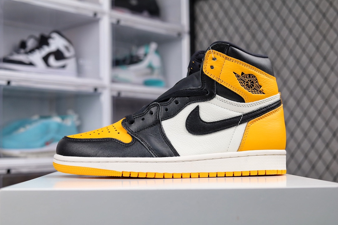 H5 乔一高邦 黑黄脚趾